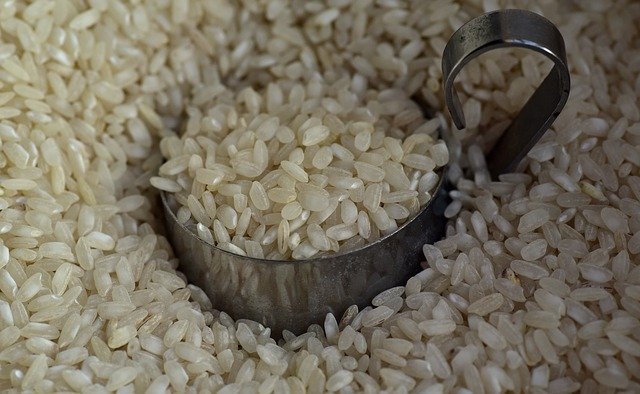 rice-3622461_640.jpg