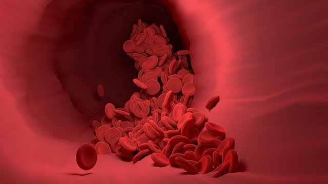 red-blood-cell-4256710_640.jpg